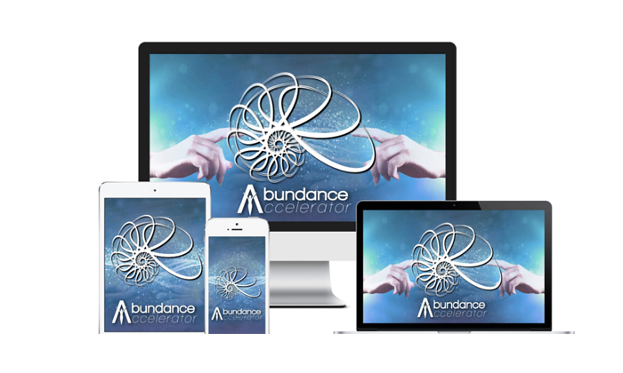 Abundance-Accelerator-review